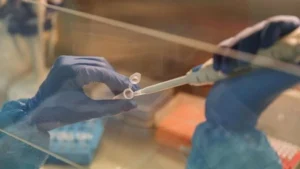 Researcher pipetting a sample into microcentrifuge tubes